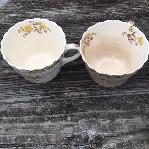 Copeland Spode England buttercup